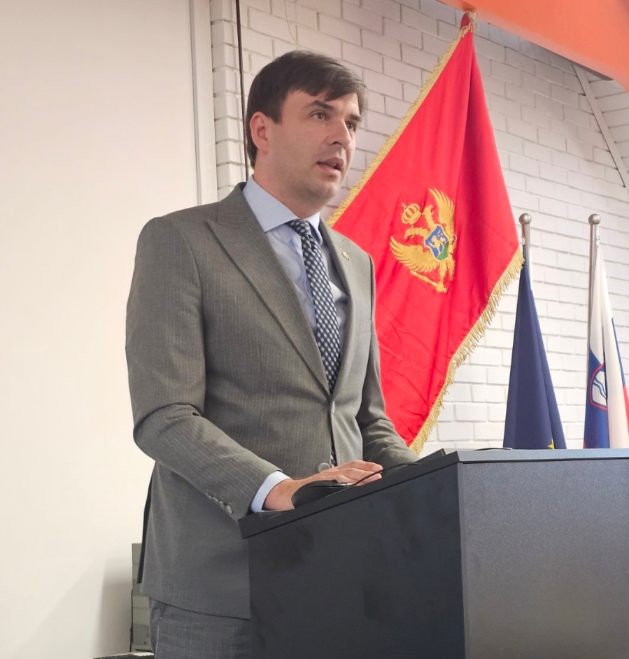 Ministar dijaspore Mirsad Azemović