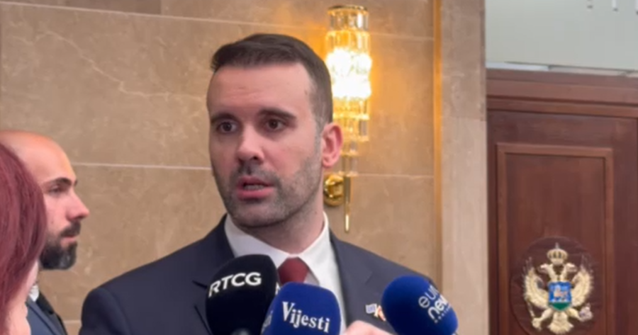 Spajić u Skupštini