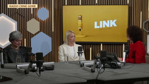 Link 25.04.2025 thumb2.jpg