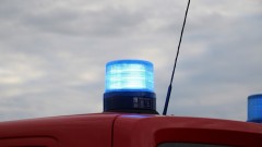 thumb1.jpg