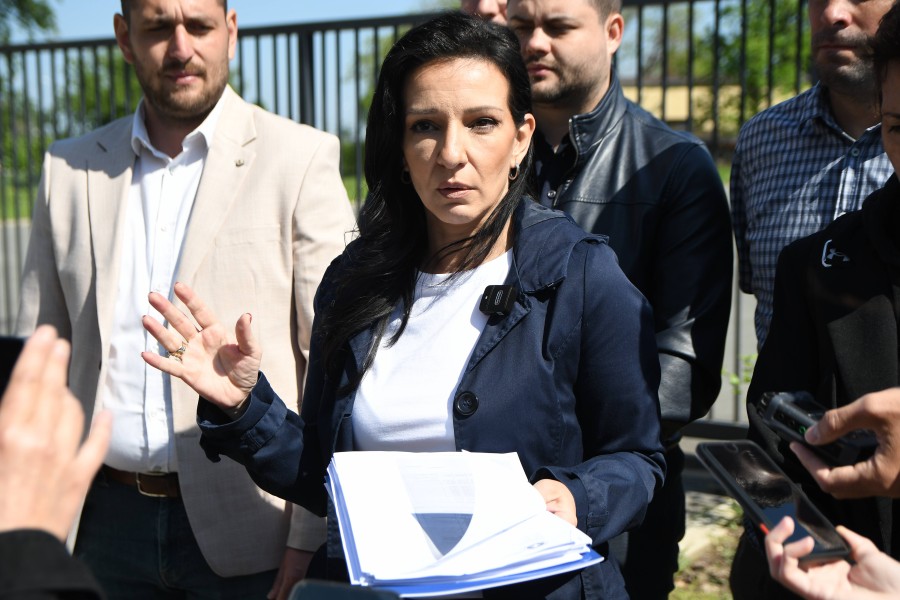 Marinika Tepić