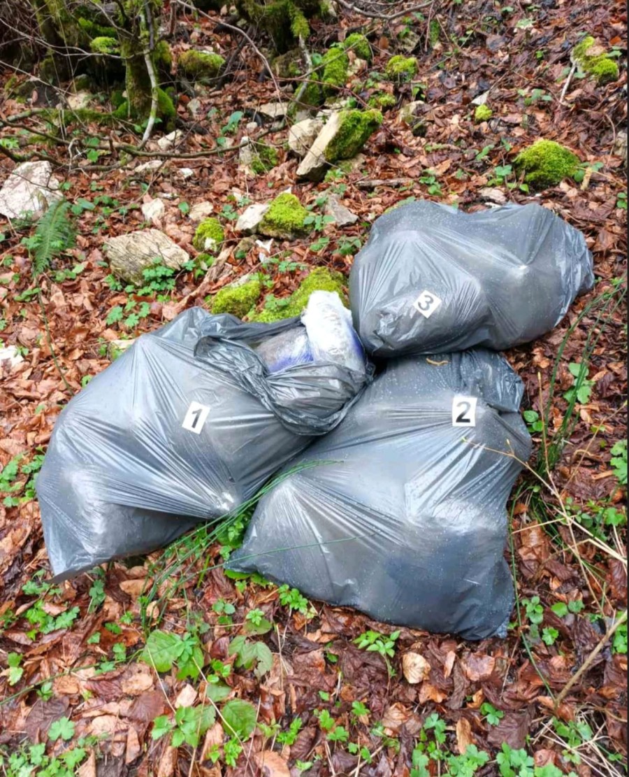 Pronađena marihuana