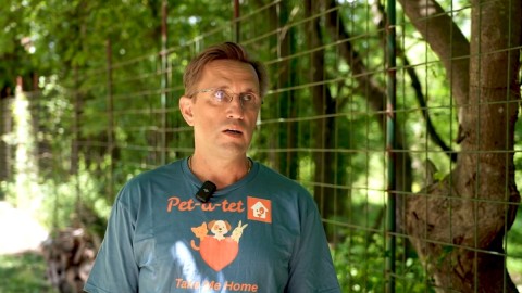 Pet-a-Tet pruža utočište napuštenim životinjama u Crnoj Gori thumb2.jpg