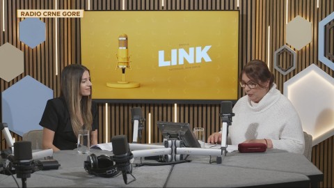 Link 19.05.2025 thumb2.jpg