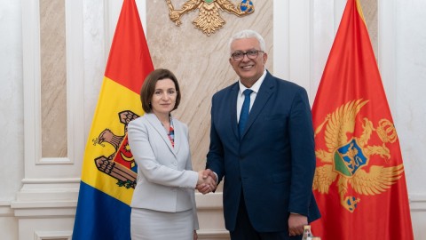 Mandić: Crna Gora apsolutni lider među zemljama kandidatima thumb2.jpg