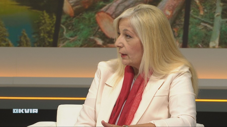 Aleksandra Despotović, DPS