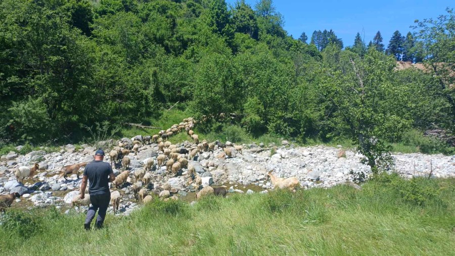 Seljak poručuje Ilija, treba da bude poštovan u društvu, a ne odbačen i zaboravljen