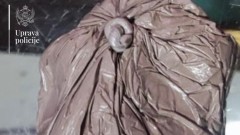 thumb1.jpg