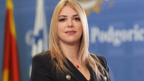 Rovčanin: Osuđujem vulgarne, primitivne i ničim izazvane napade na Mujovića thumb2.jpg