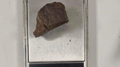 thumb1.jpg