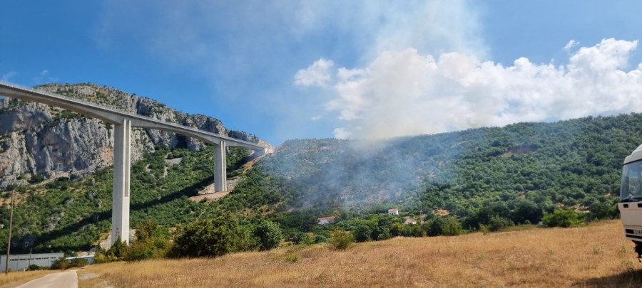 Moračica