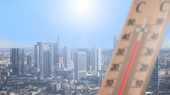 thumb1.jpg