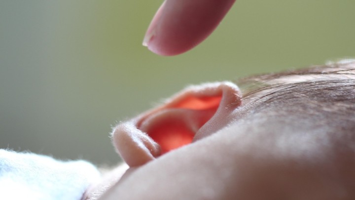 thumb3.jpg