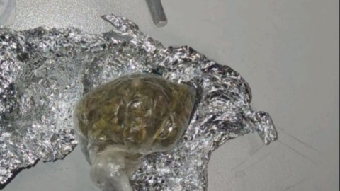 thumb2.jpg