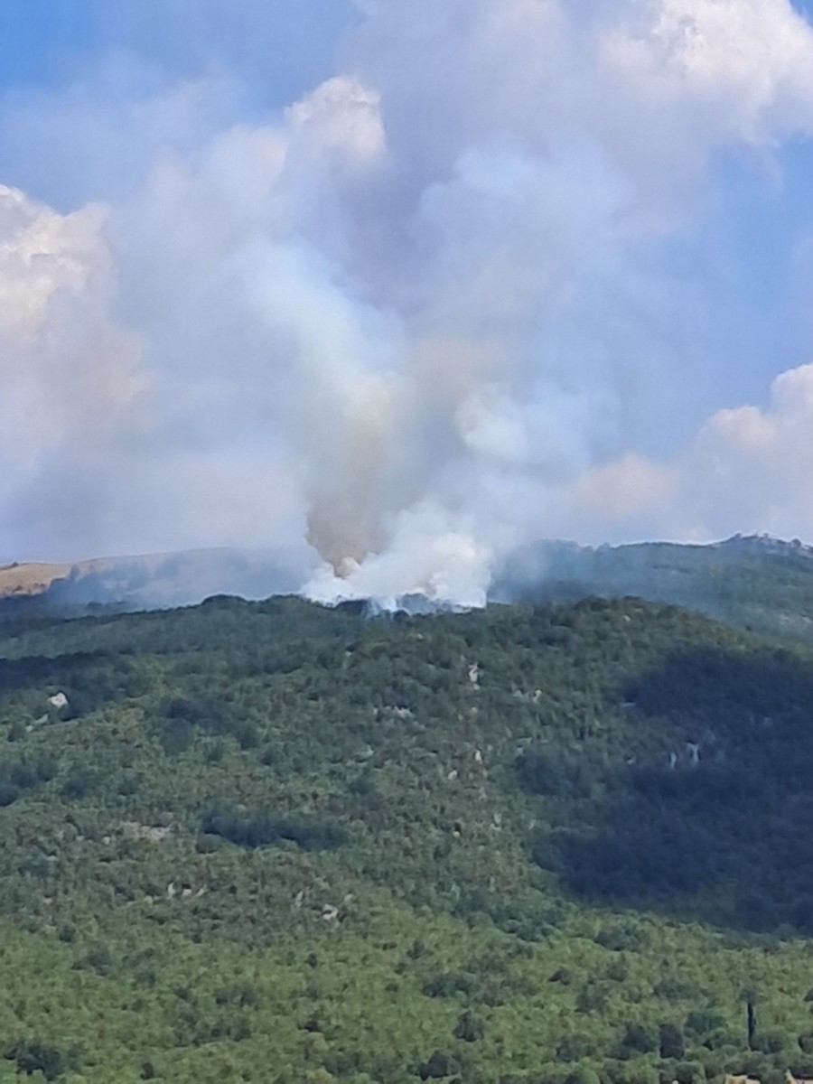 Požar u Nikšiću