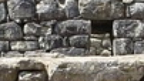 thumb2.jpg