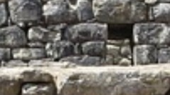 thumb1.jpg