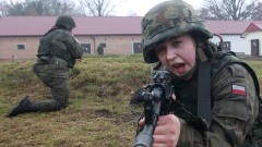 thumb1.jpg
