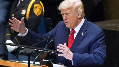 thumb2.jpg