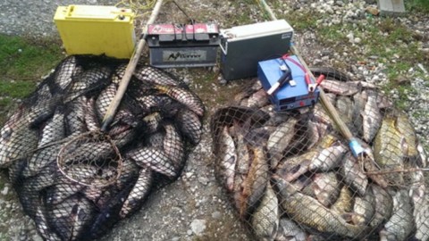 Varvarske metode u ekološkoj državi: Dinamit i struja i dalje ubijaju Skadarsko jezero thumb2.jpg