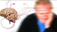 thumb1.jpg
