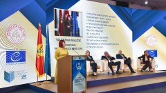 Pavličić: Nijedna vlast ne može biti iznad druge, a najmanje iznad prava thumb1.jpg