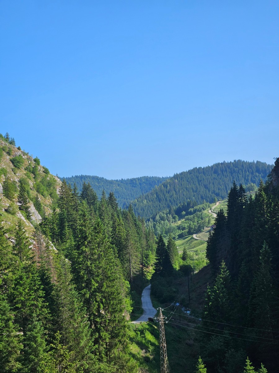 Ćehotina
