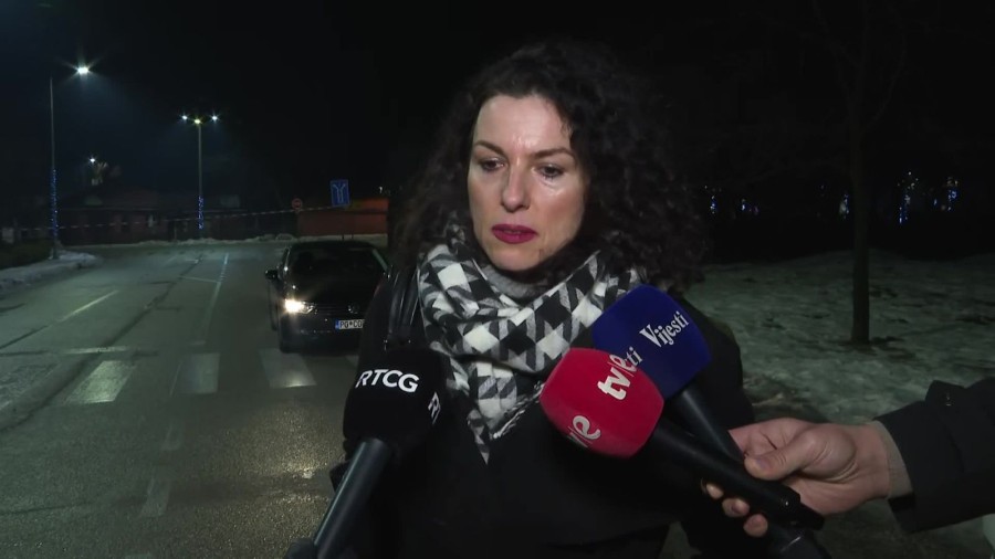 Andrijana Nastić