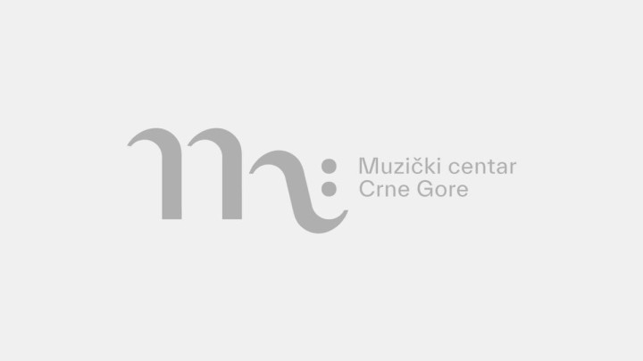 Savjet MCCG: Smjena rukovodioca bez konsultacija i uvažavanja dosadašnjih rezultata rada thumb3.jpg