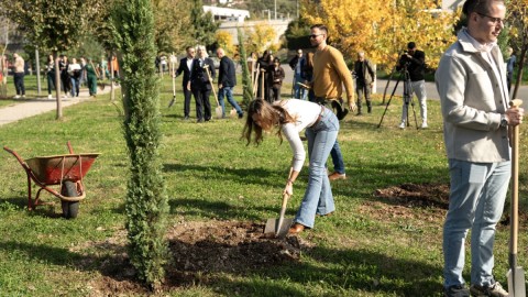 ASPUCG: "Stablo znanja“ zasadilo više od 60 studenata u parku na Staroj Zlatici thumb2.jpg