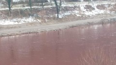 Bosna i Hercegovina, voda i ekologija: Zašto je reka Bosna bila „crvena poput krvi"