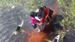 Petoro ljudi preživelo 36 sati u močvari punoj aligatora posle pada aviona
