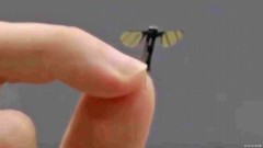 Čiji je manji: Dron veličine komarca