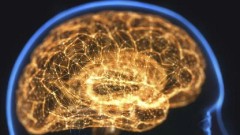 Meningitis: Od infekcije do smrtonosne bolesti