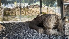 Život u ruševinama: Ljudi su se vratili u Pompeju posle erupcije