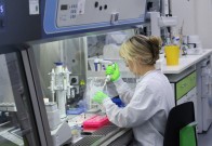 mRNK vakcine: Kako deluju i koje su njihove prednosti