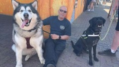 'Samo je nastavio da raste': Život sa psom teškim 82 kilograma