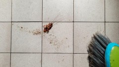 Žena zapalila zgradu u Južnoj Koreji u pokušaju da spali bubašvabu 