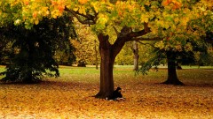 Kako protiv jesenje melanholije