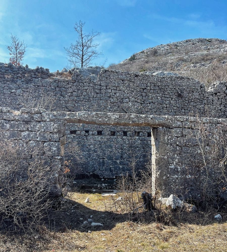 foto: Ozren Zogović