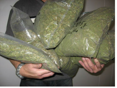 marihuana2.jpg