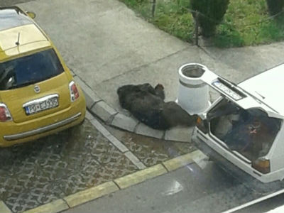 medo.jpg