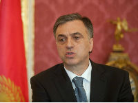 filip-vujanovic-15.jpg