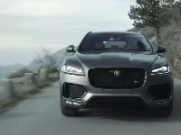559202_jaguar-2jpg