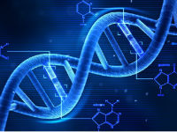 Naučnici stvaraju vještački DNK
