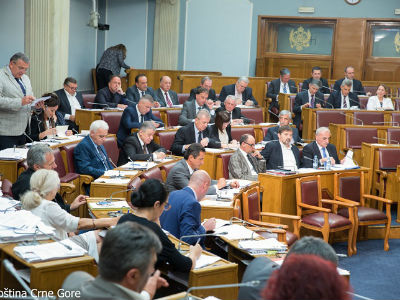 609084_skuptina-1jpg