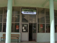 611833_catsjpg