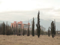 682373_kap-1jpg