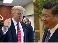 716395_tramp---aimping-trcgjpg