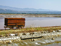 744996_solana-czipjpg